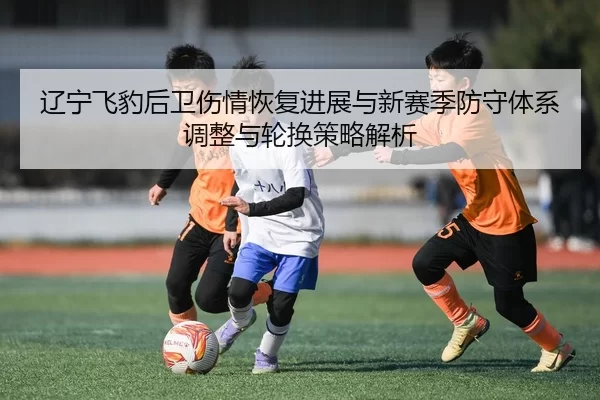 辽宁飞豹后卫伤情恢复进展与新赛季防守体系调整与轮换策略解析